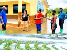 Floods Submerge Homes and Farmlands in Anloga District; Authorities Tour Affected Areas